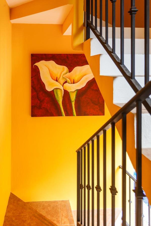 Kaam Accommodations Puerto Morelos Zewnętrze zdjęcie